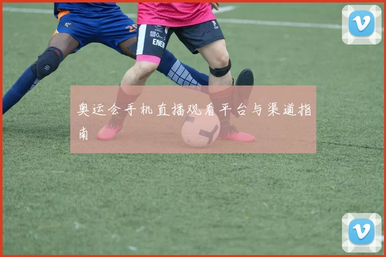 奥运会手机直播观看平台与渠道指南