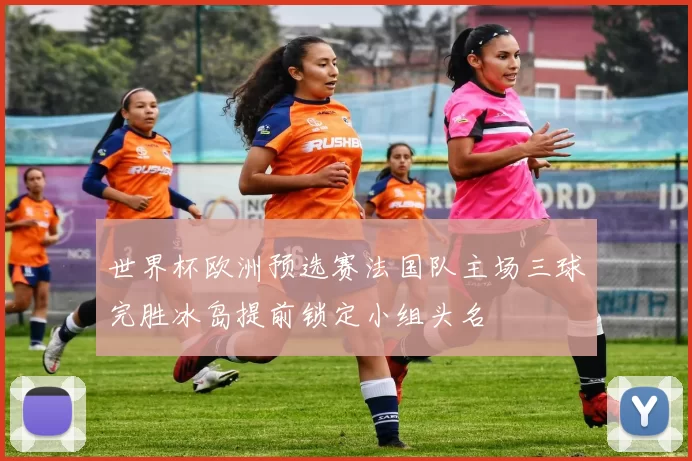 世界杯欧洲预选赛法国队主场三球完胜冰岛提前锁定小组头名