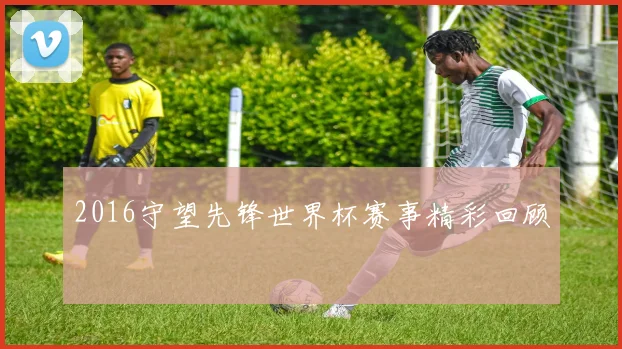 2016守望先锋世界杯赛事精彩回顾