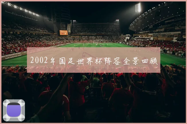 2002年国足世界杯阵容全景回顾