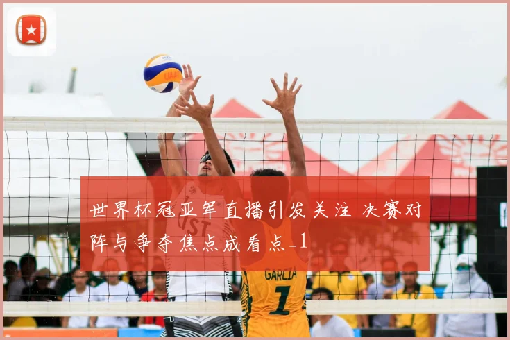 世界杯冠亚军直播引发关注 决赛对阵与争夺焦点成看点_1