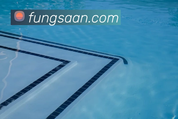 星空体育官方在线登录服务体系