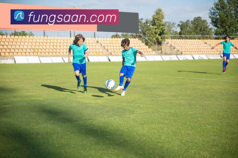 星空体育官方在线登录APP 体育赛事宣传图